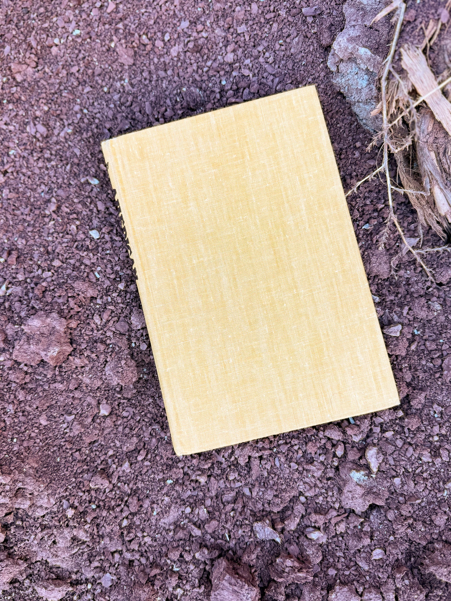 American Indian Women by Marion E. Gridley 1974