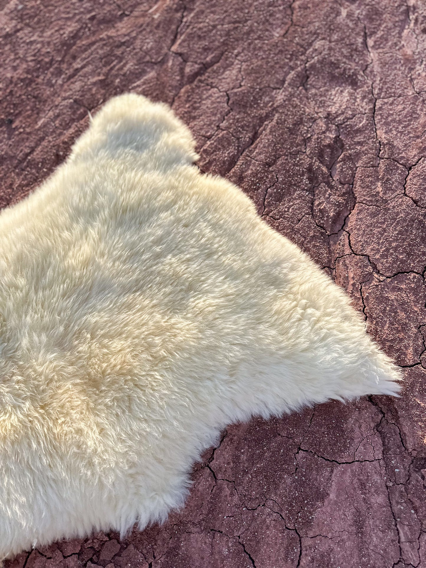 Sheepskin Hide- Vida