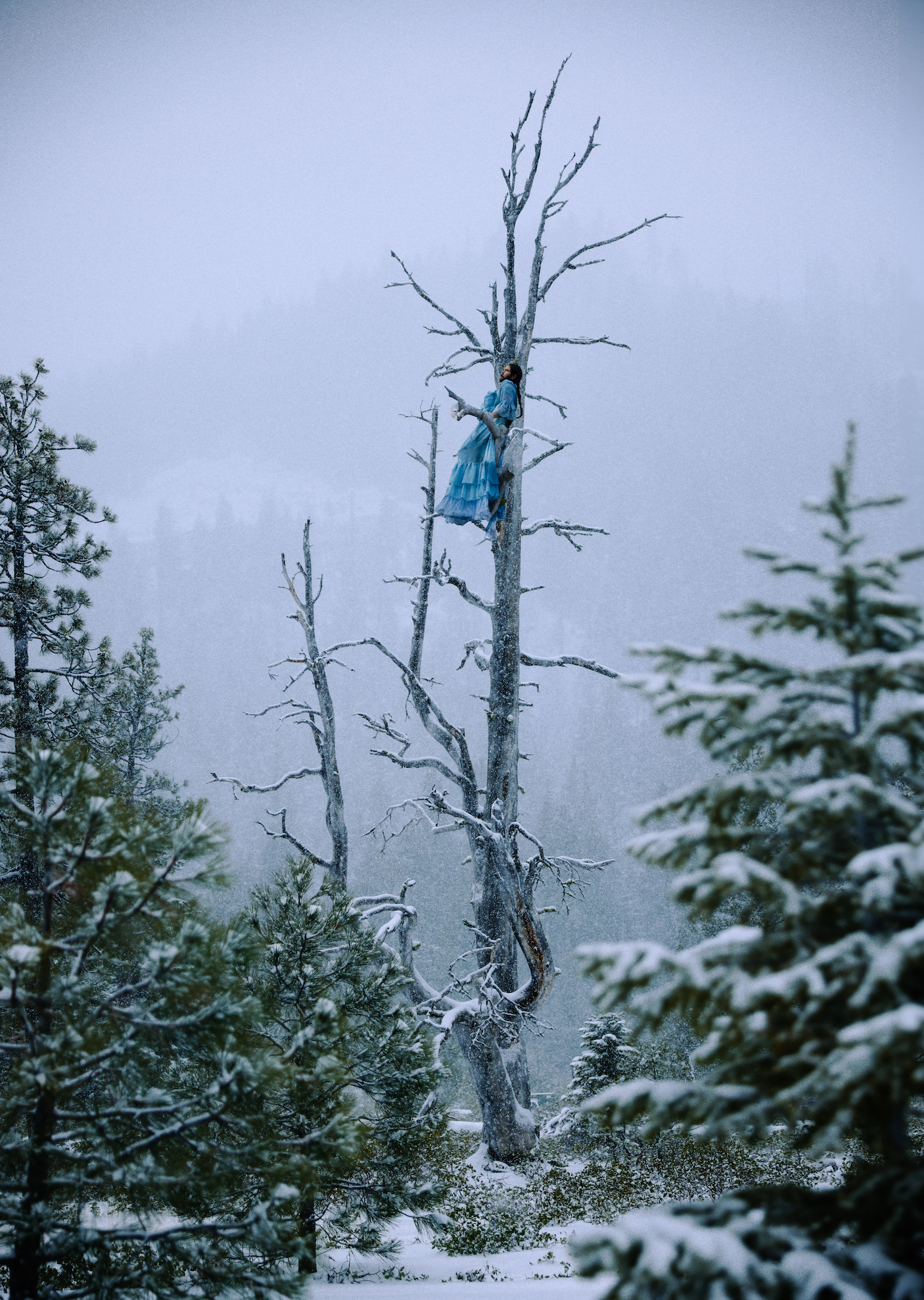 Snow Princess by Evan Benally Atwood