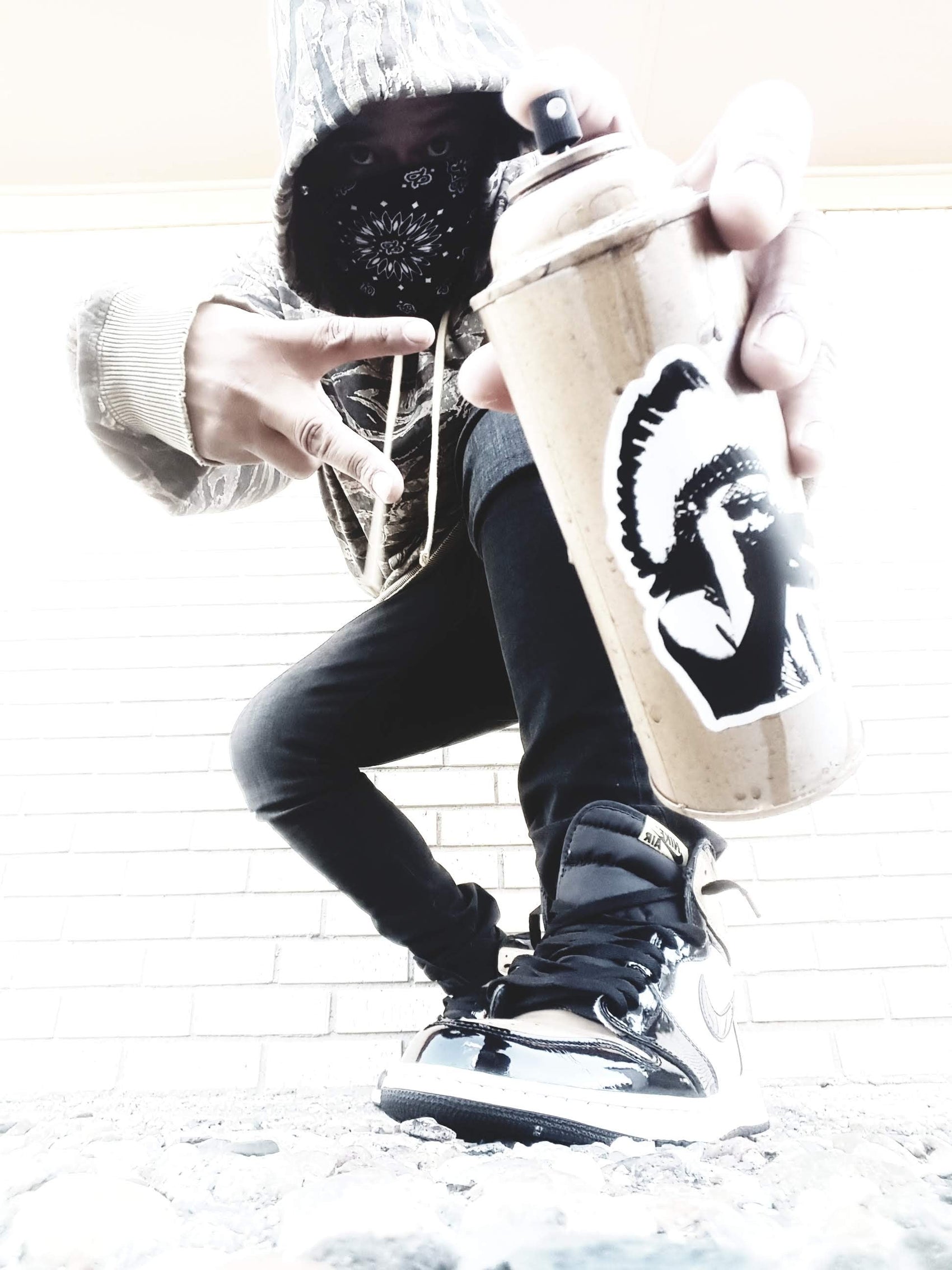 The Son of Picasso Collection