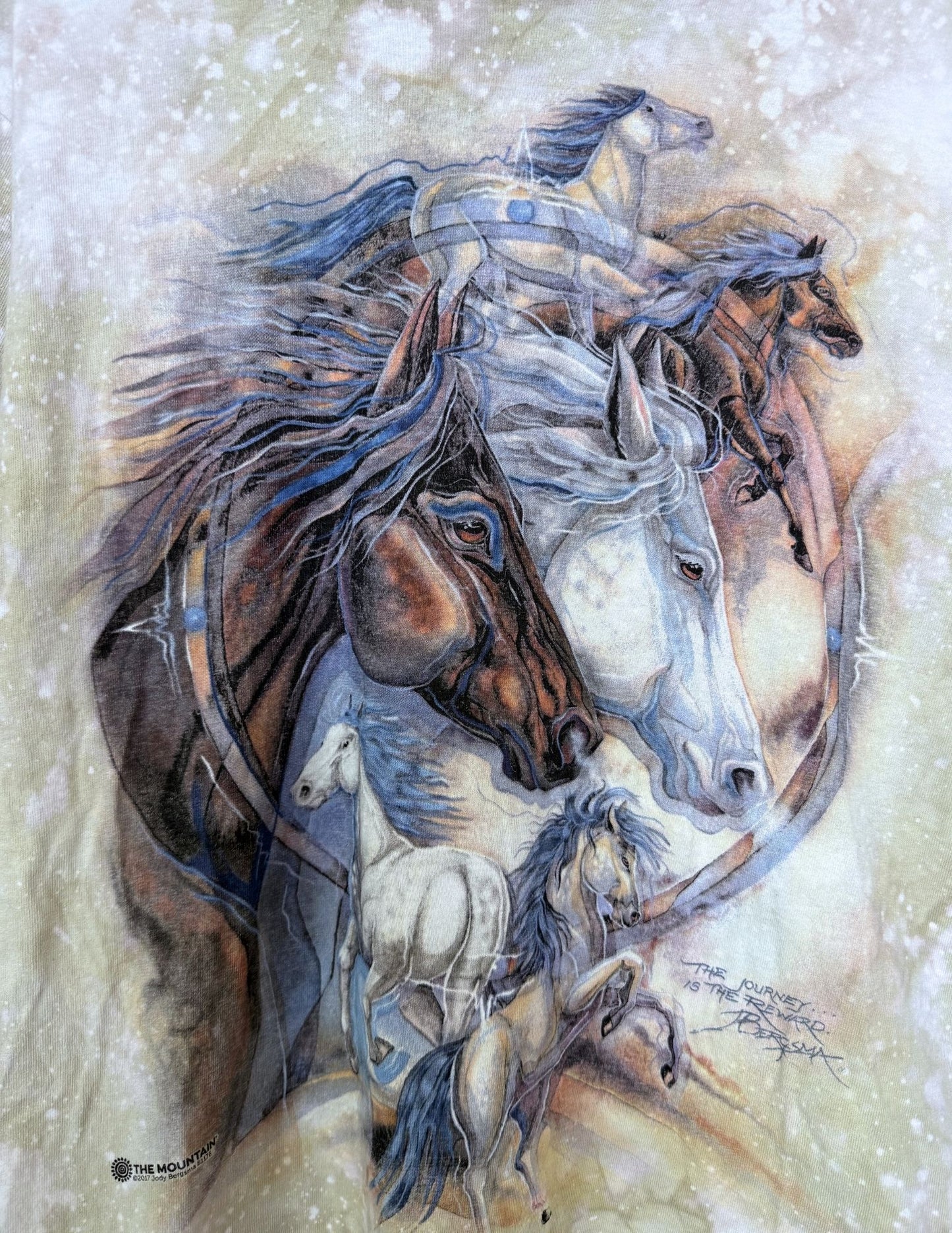 Upcycled Vintage Stallions Tee- 44 x 29 Land Back
