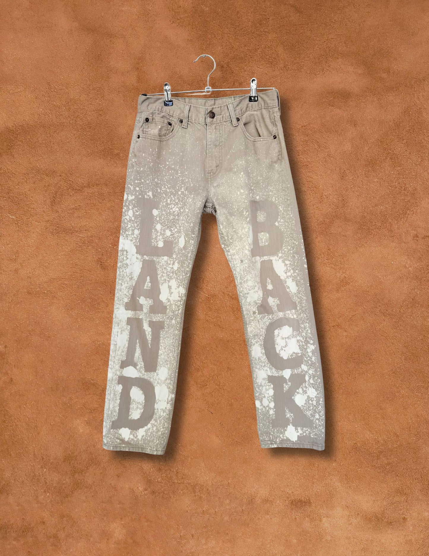 Upcycled Vintage Levis Jeans 30 x 28 Land Back