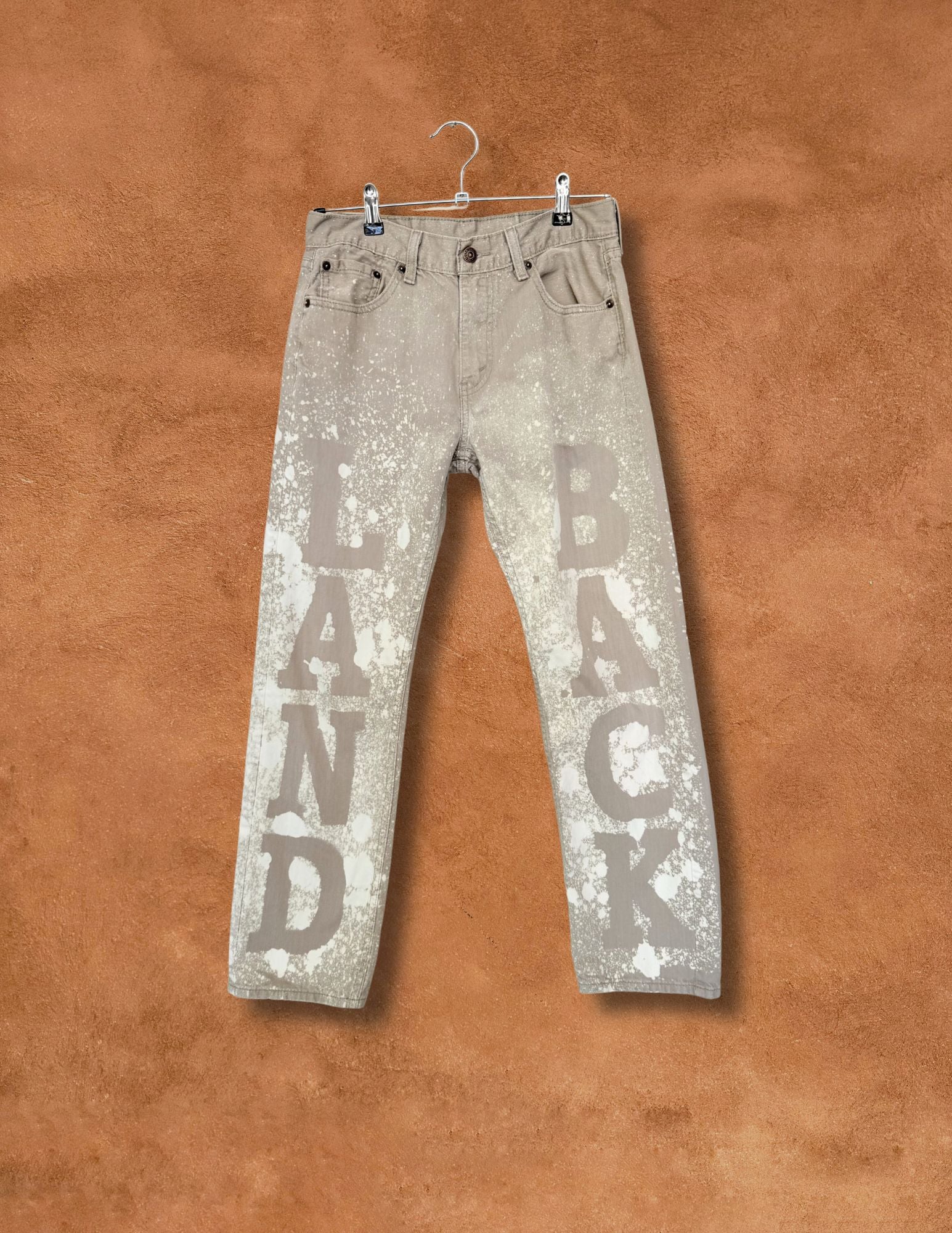 Upcycled Vintage Levis Jeans 30 x 28 Land Back