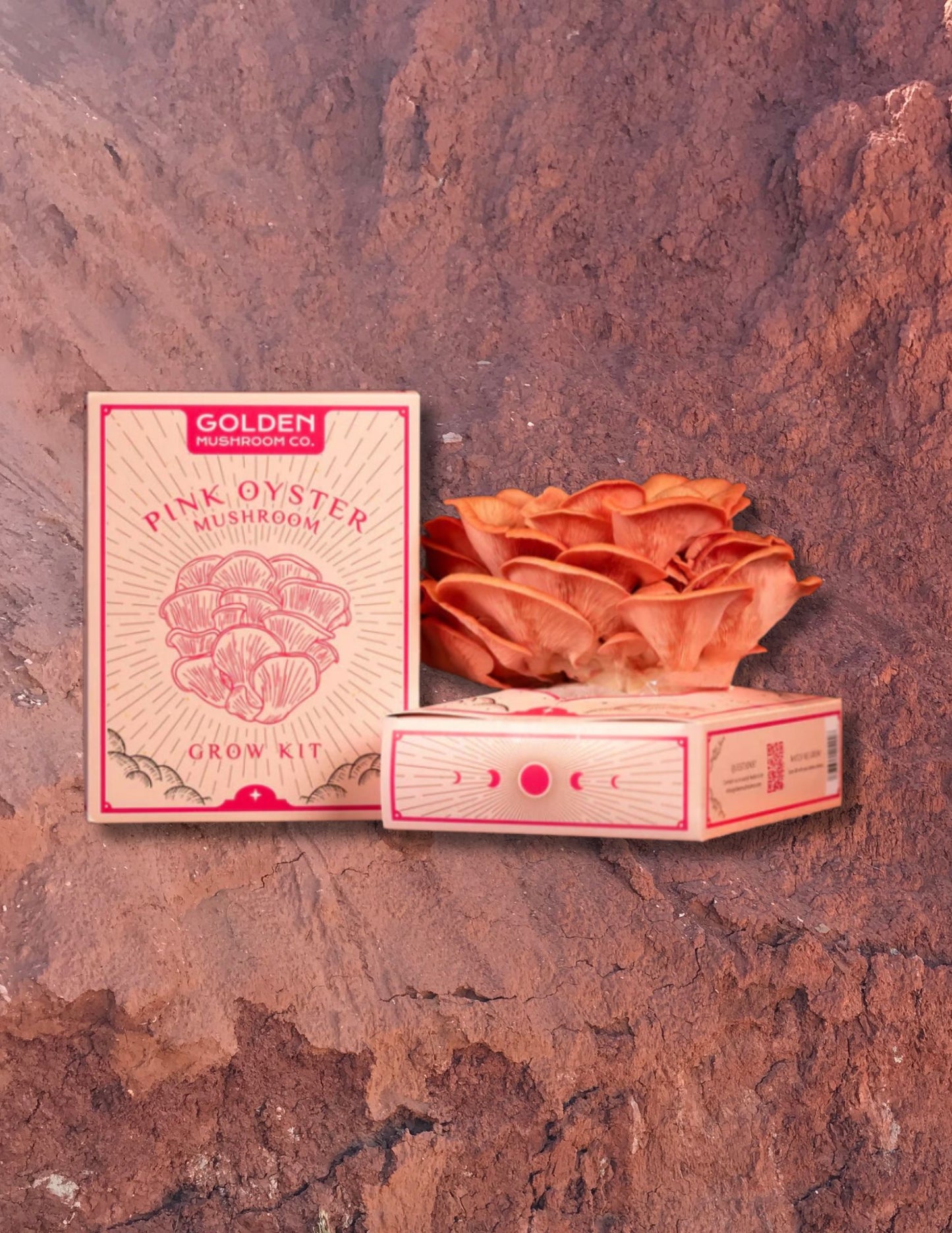 Pink Oyster Mushroom Grow Kit