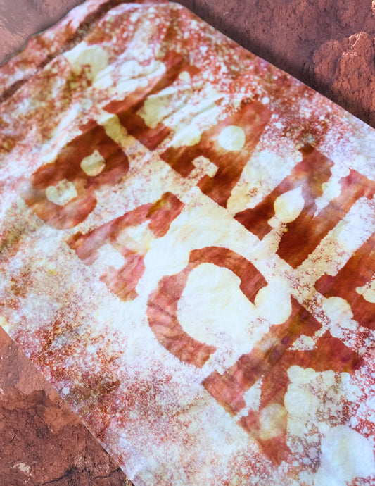 Upcycled Vintage Mid Century Handmade Pillowcase -  Land Back