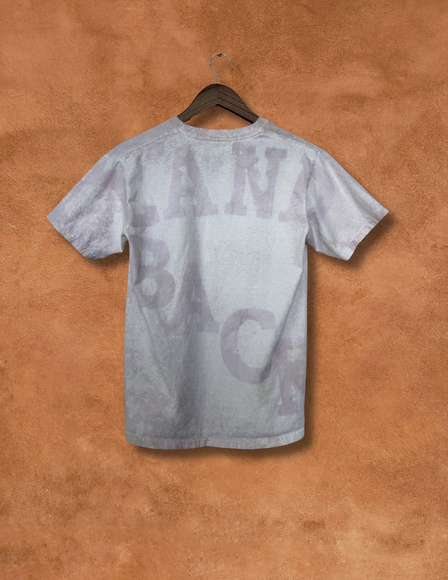 Upcycled Vintage Stallions Tee- 38 x 25 Land Back