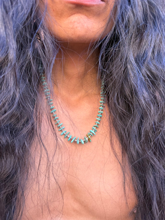 🤎 Vintage Turquoise & Heishi Necklace