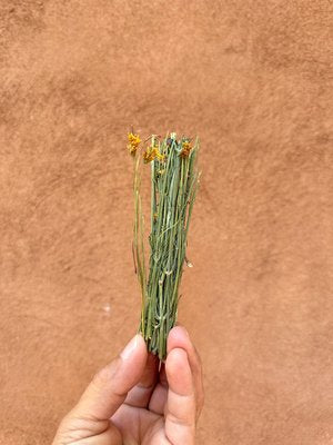 Wild Foraged Navajo Tea Bundle 6-PACK