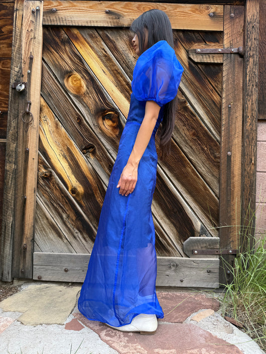 Custom Made Transparent Dress