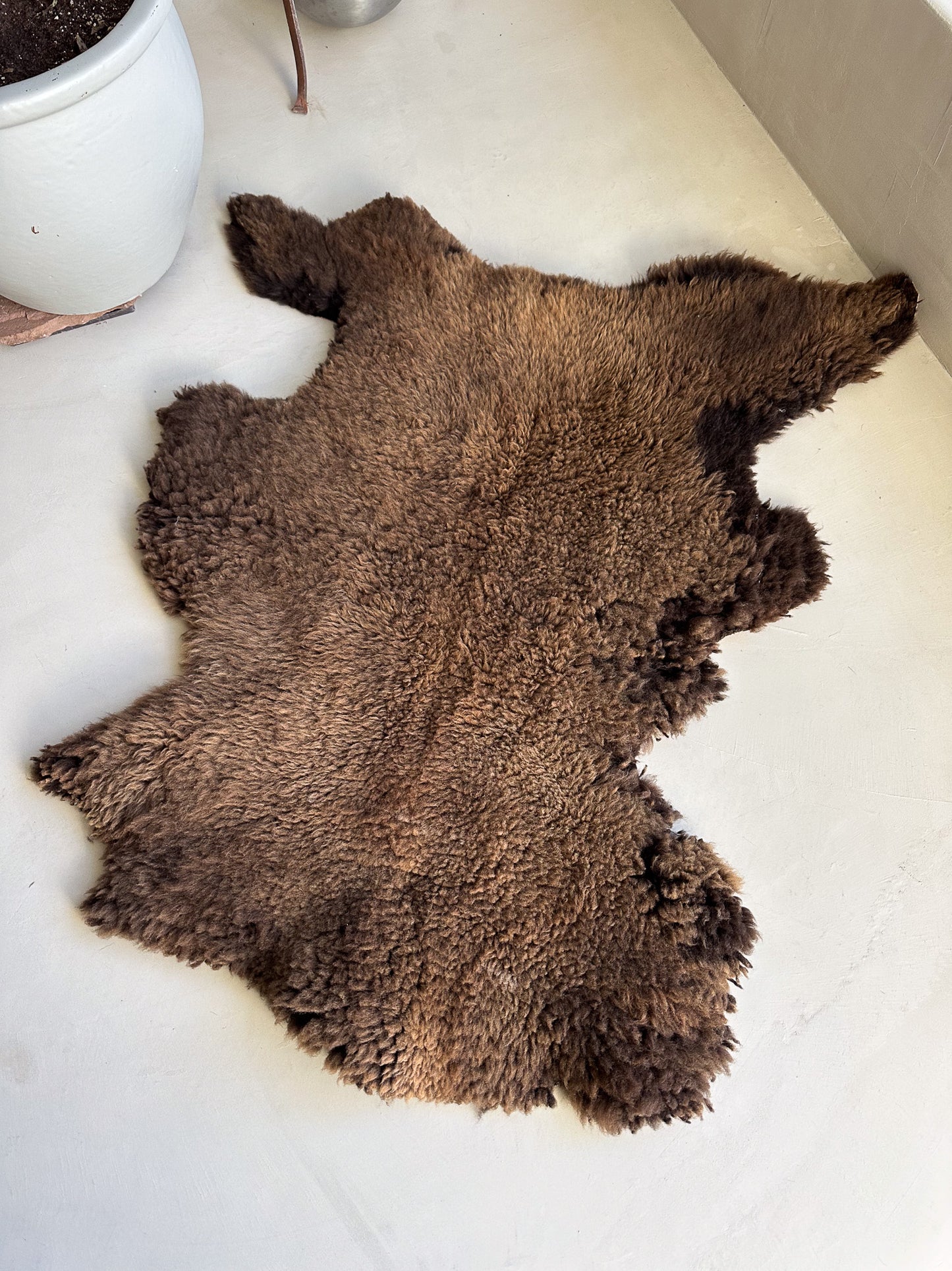 Sheepskin Hide- Akio