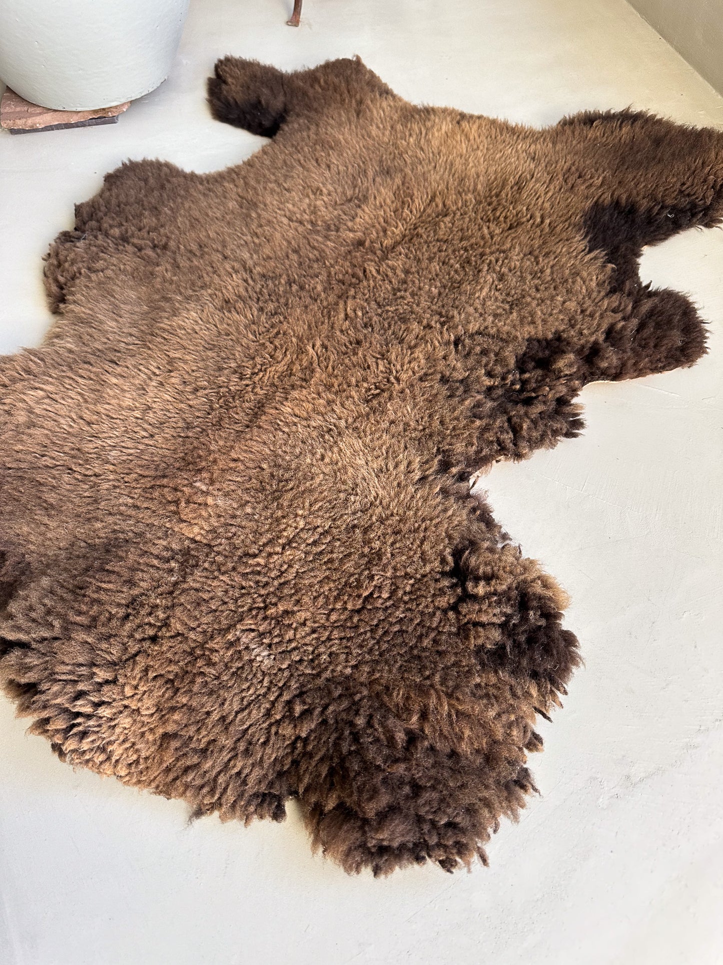 Sheepskin Hide- Akio