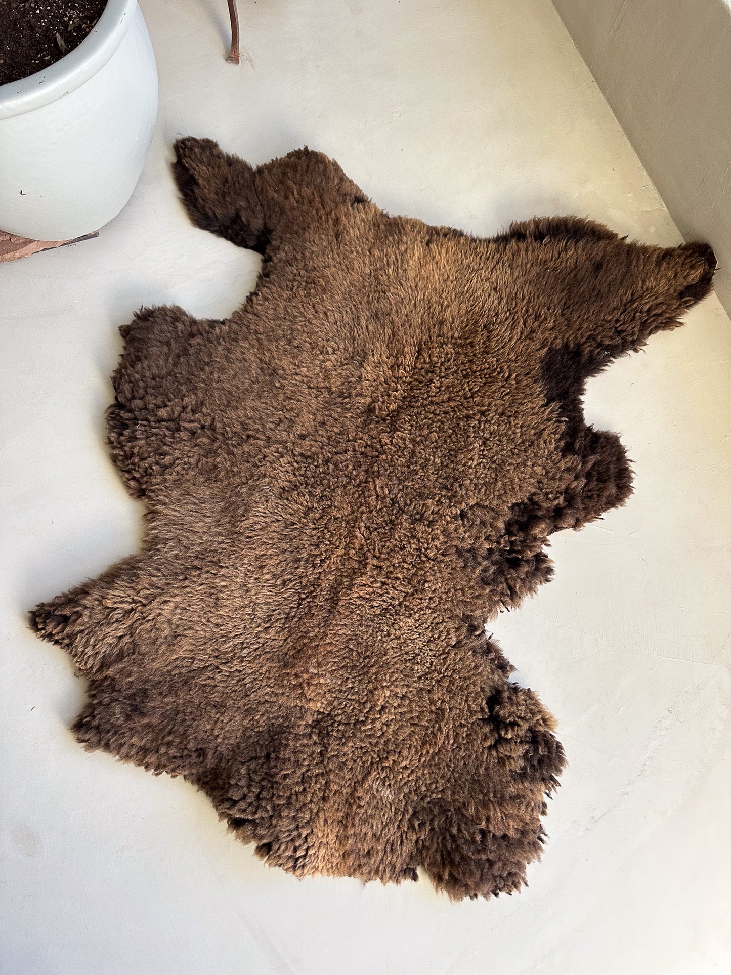 Sheepskin Hide- Akio