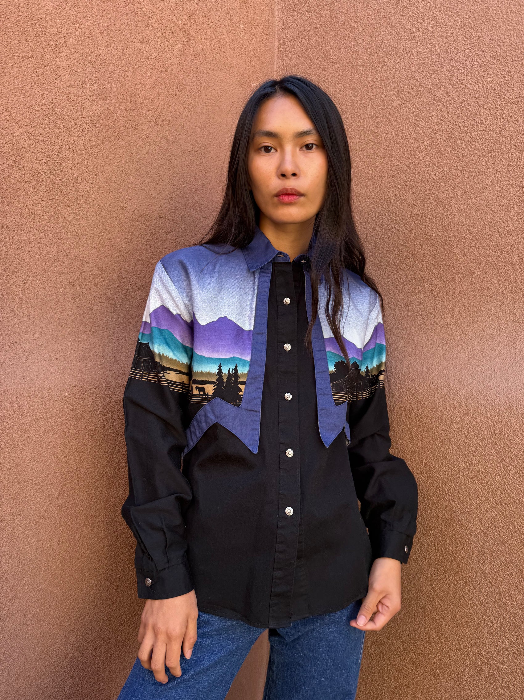 Vintage 80s Southwest Rodeo Shirt