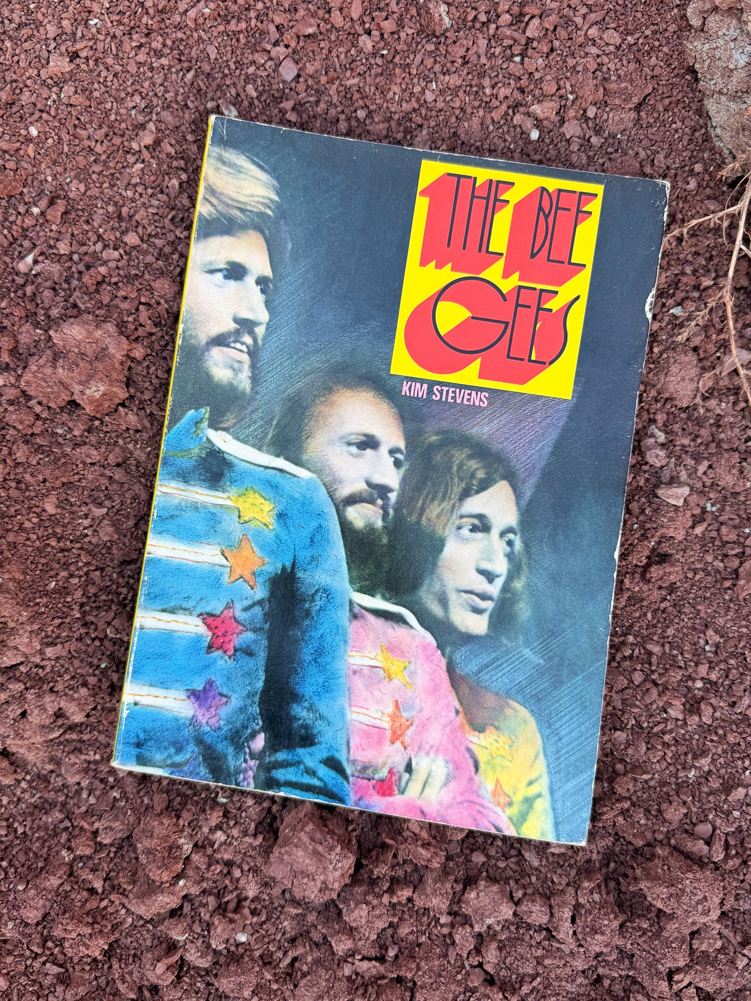 The Bee Gees by Kim Stevens 1978