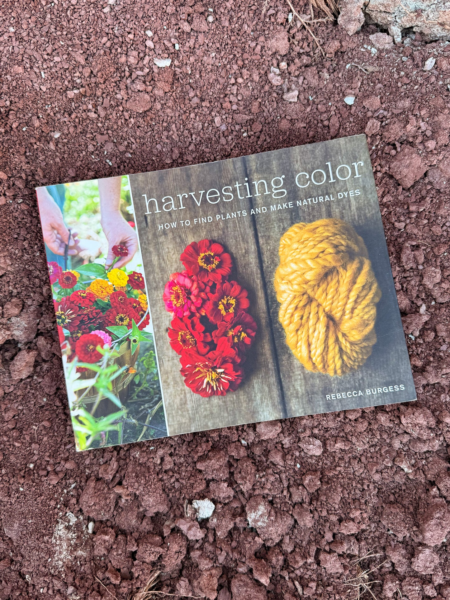 Harvesting Color: How to Find Plants and Make Natural Dyes by Rebecca Burgess 2011