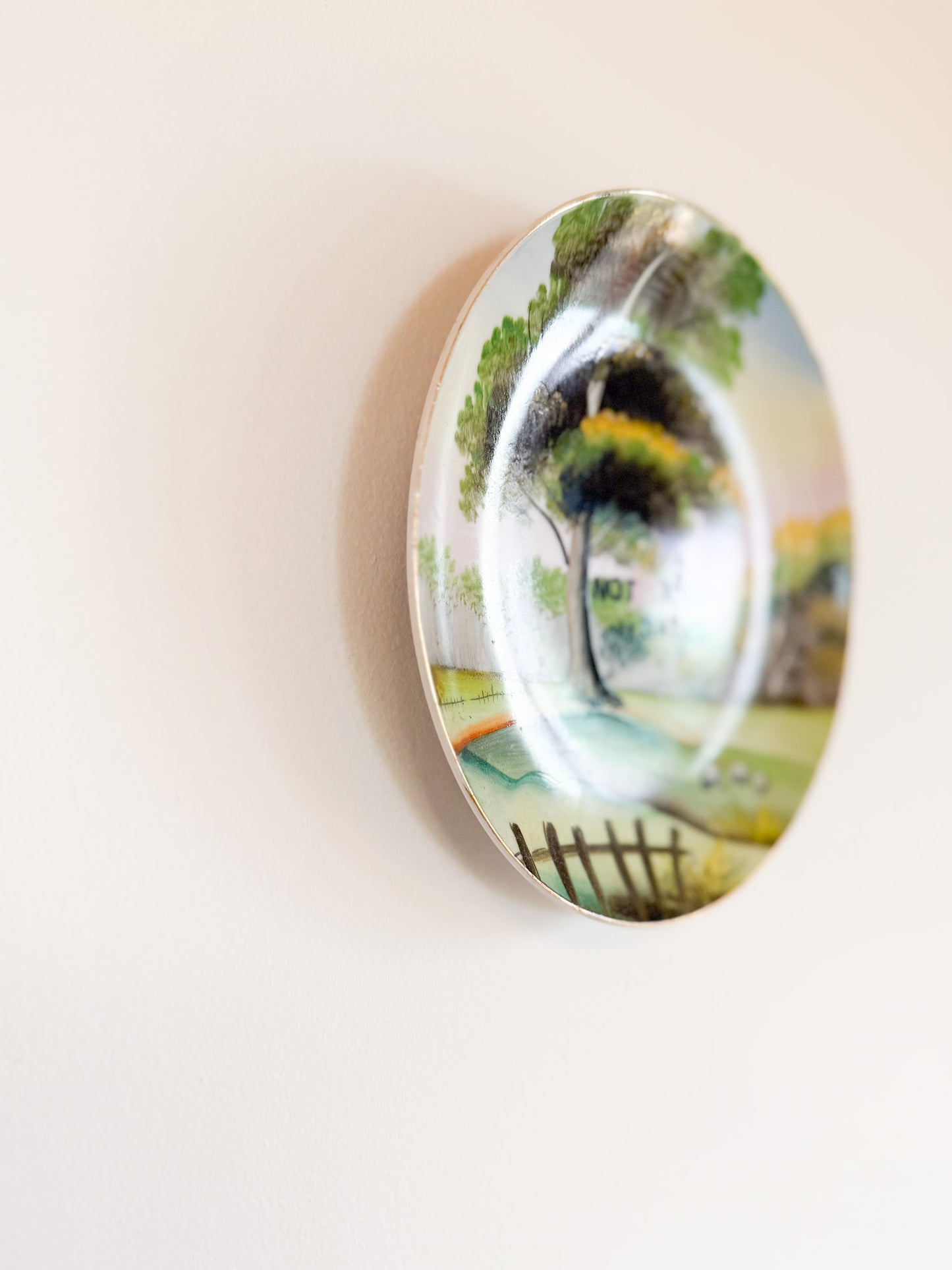 Vintage Ornamental Plate