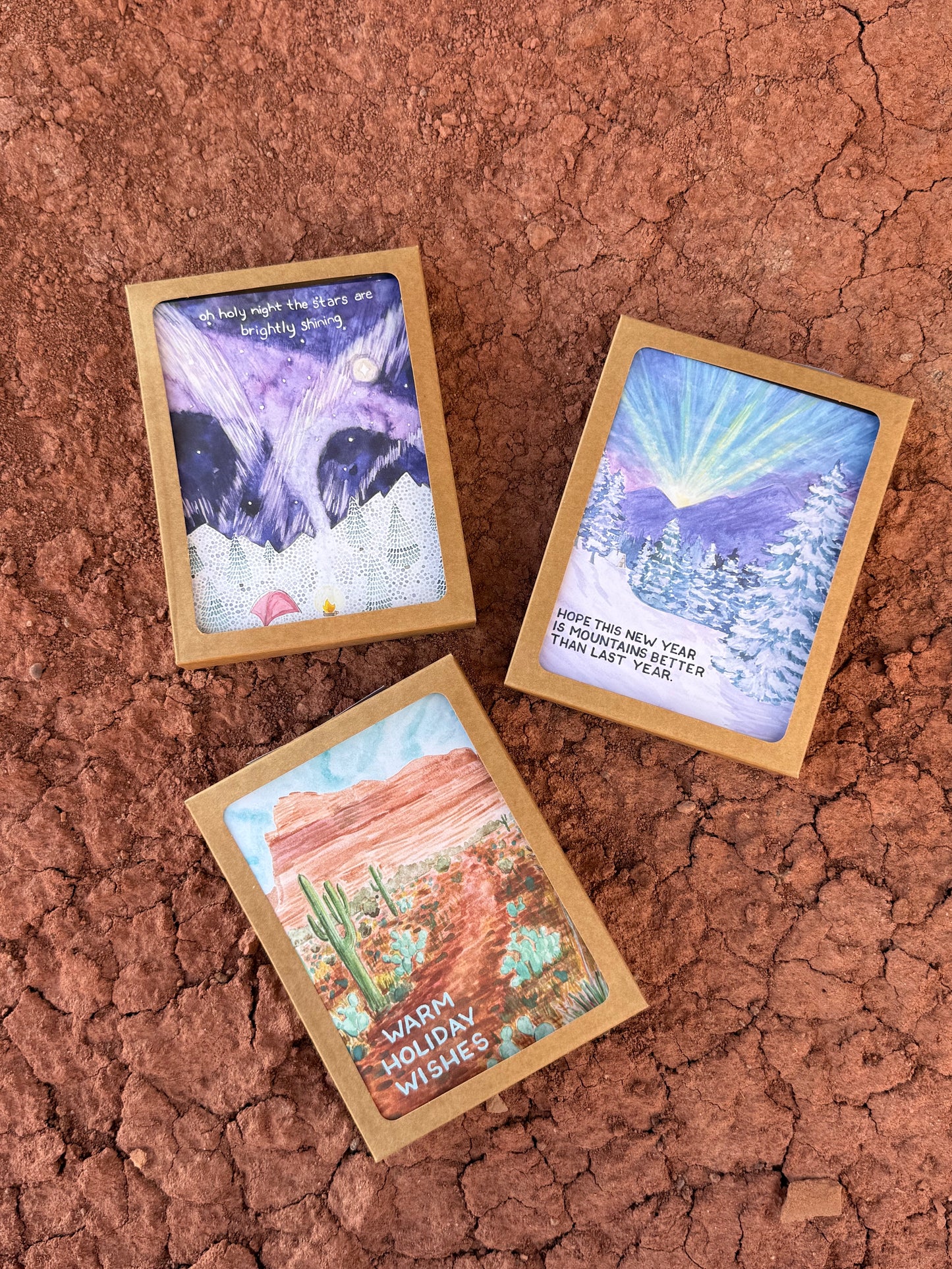 Holiday Boxed Set (6) by artist Brigida Swanson