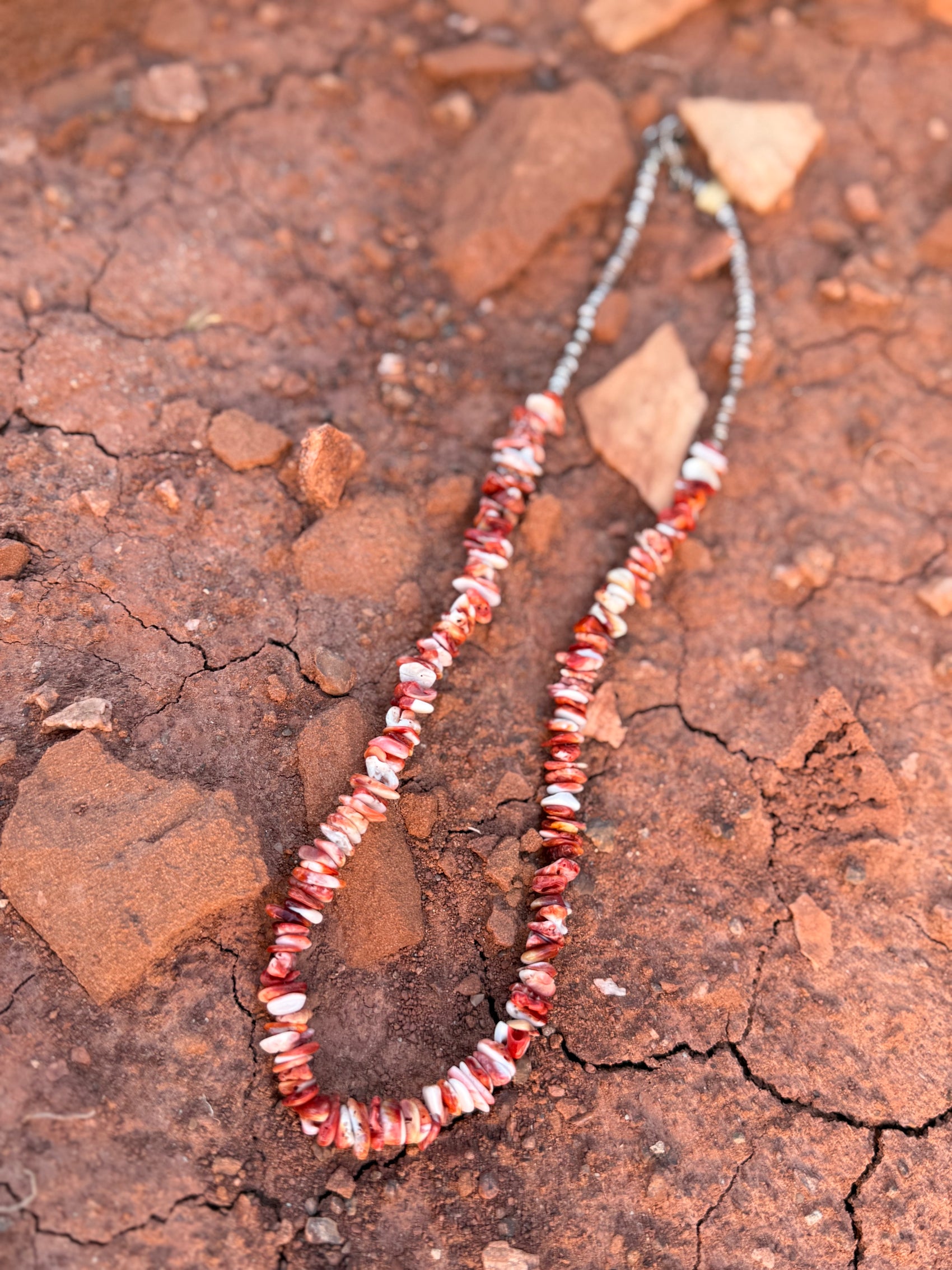 🤎 Vintage Coral & Heishi Shell Necklace