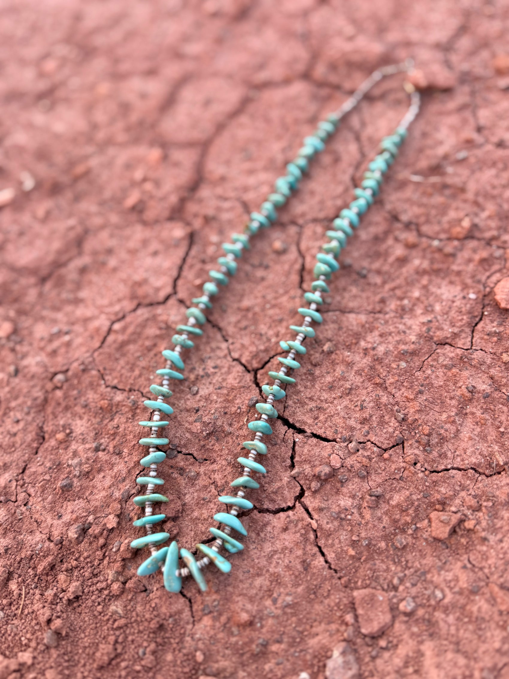 🤎 Vintage Turquoise & Heishi Necklace