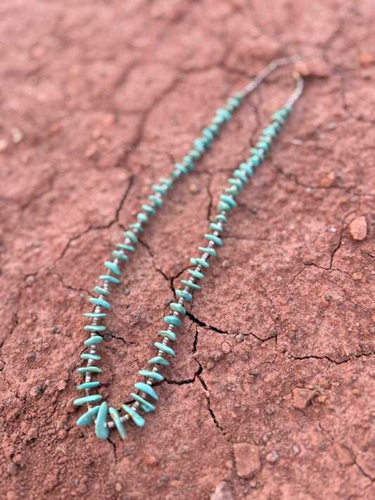 🤎 Vintage Turquoise & Heishi Necklace