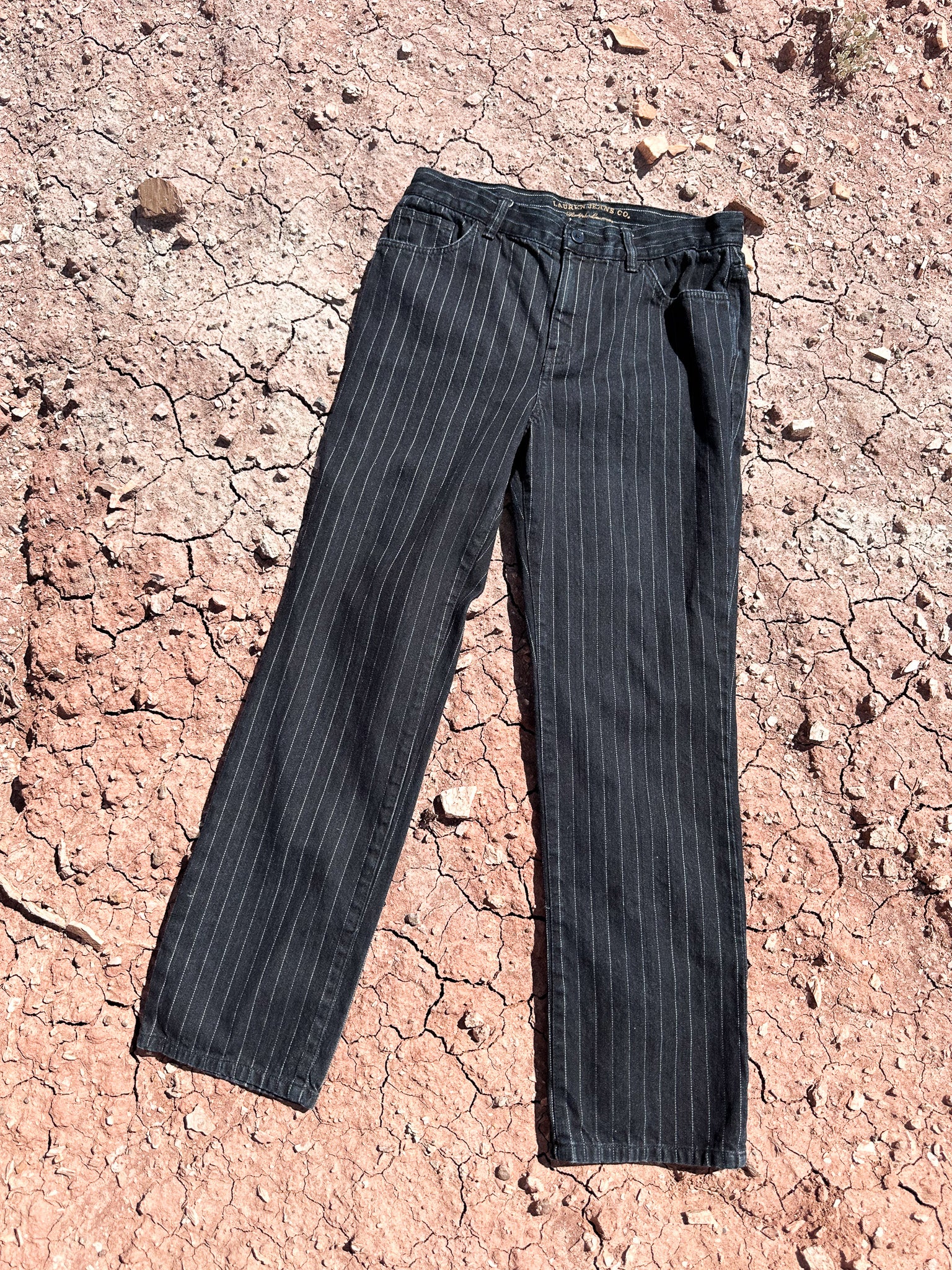 Handpainted Hummingbirds Vintage Pinstripe 90s Jeans 30 x 28