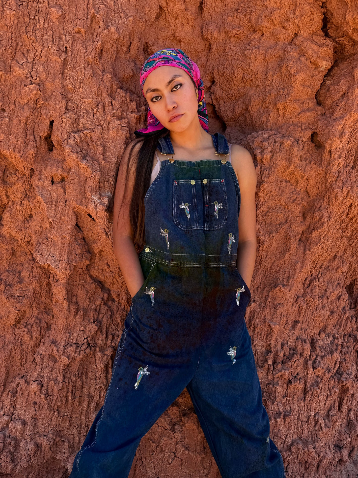Upcycled Vintage Denim Overalls with Hummingbirds
