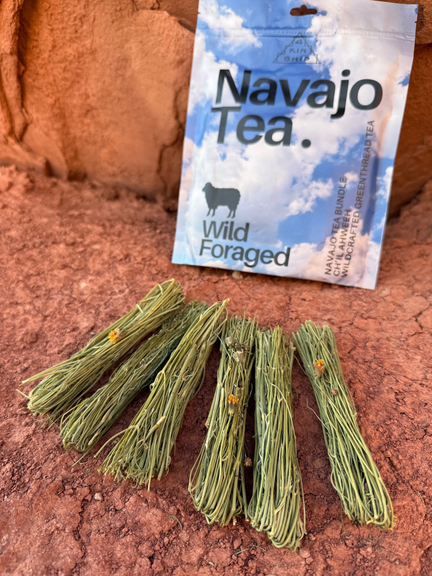 Wild Foraged Navajo Tea Bundle 6-PACK