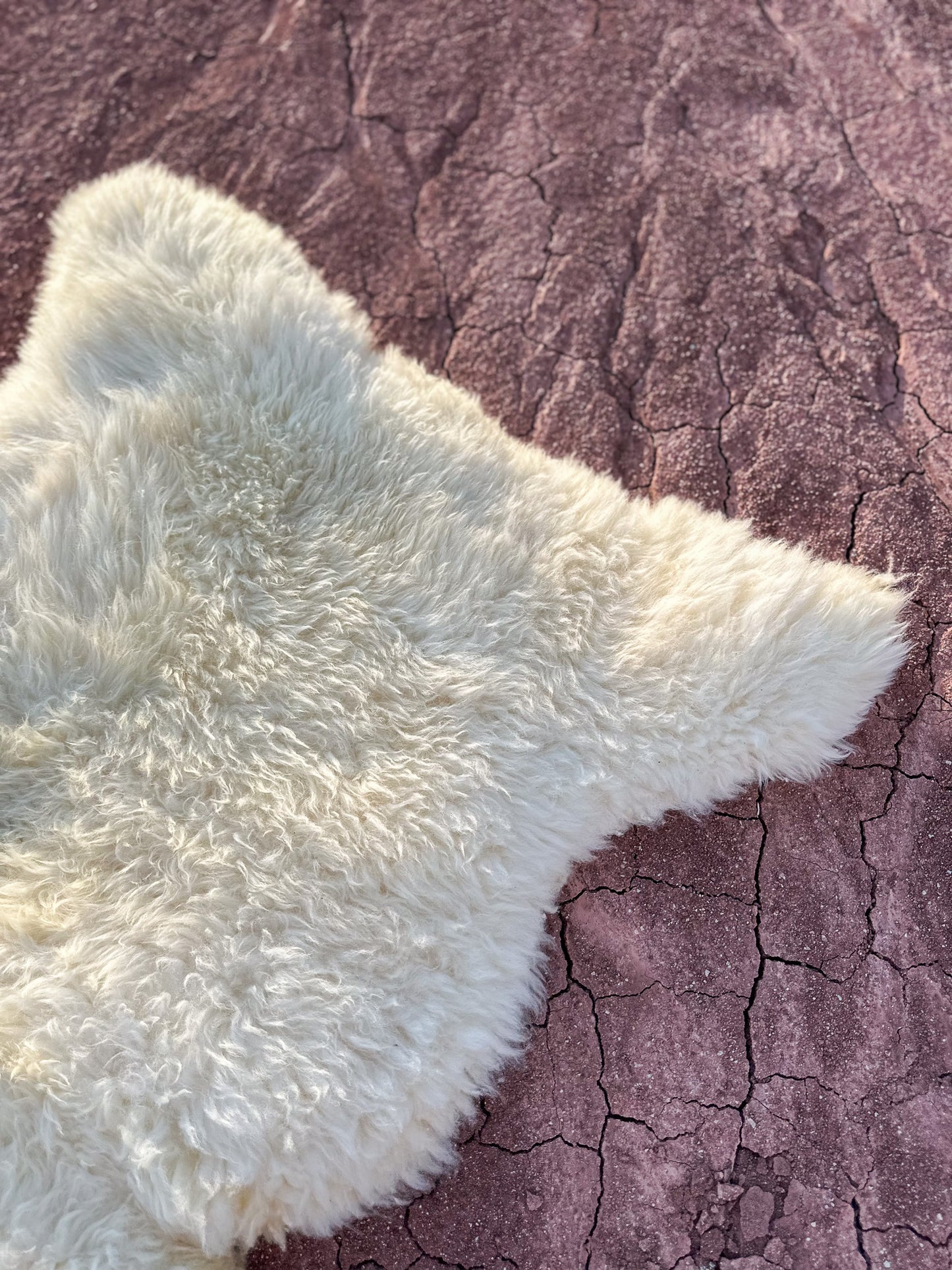 Sheepskin Hide- Kit
