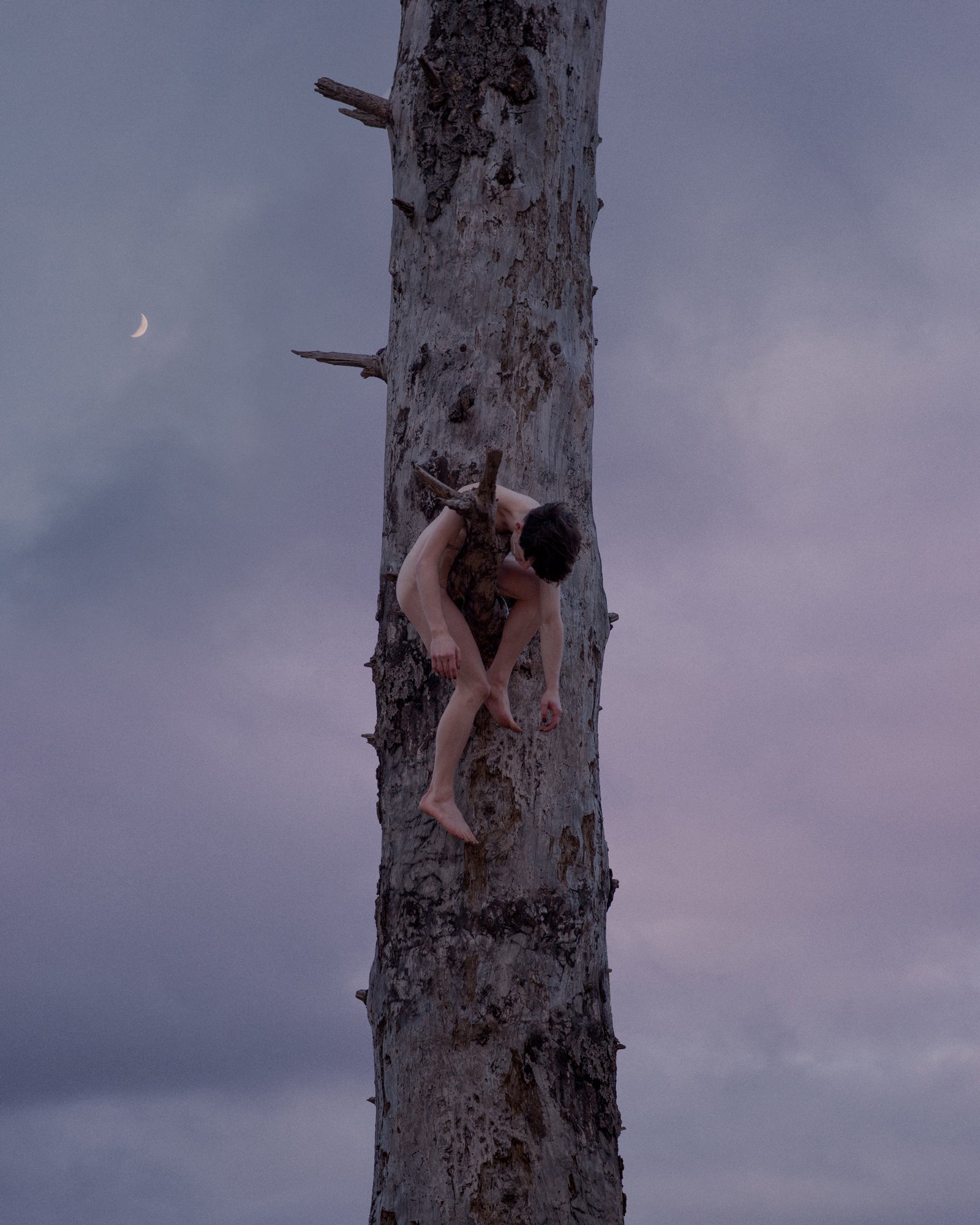 Xy and The Pink Moon by Evan Benally Atwood